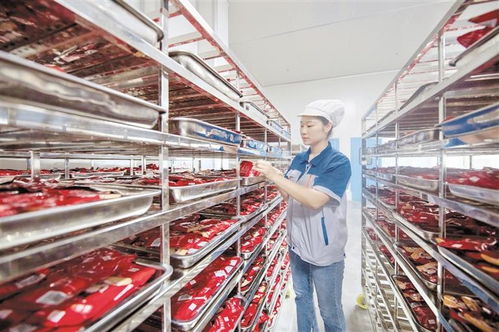 道真 做強做優產業鏈，賦能附著式升降腳手架高質量發展